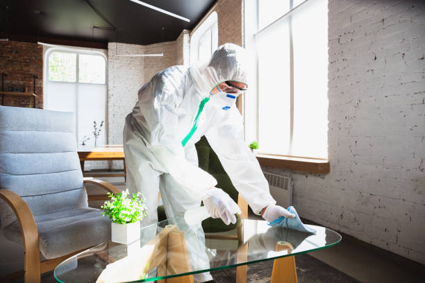 Why You Should Choose Our Mold Remediation Services in Hebron, IN