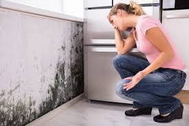 Best Water Damage & Mold Remediation  in Hebron, IN